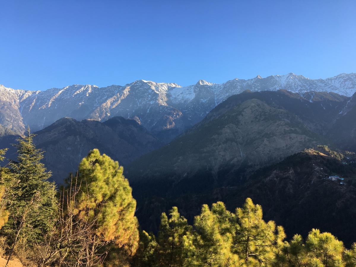 Ess & Bee Resorts Dharamshala Dış mekan fotoğraf