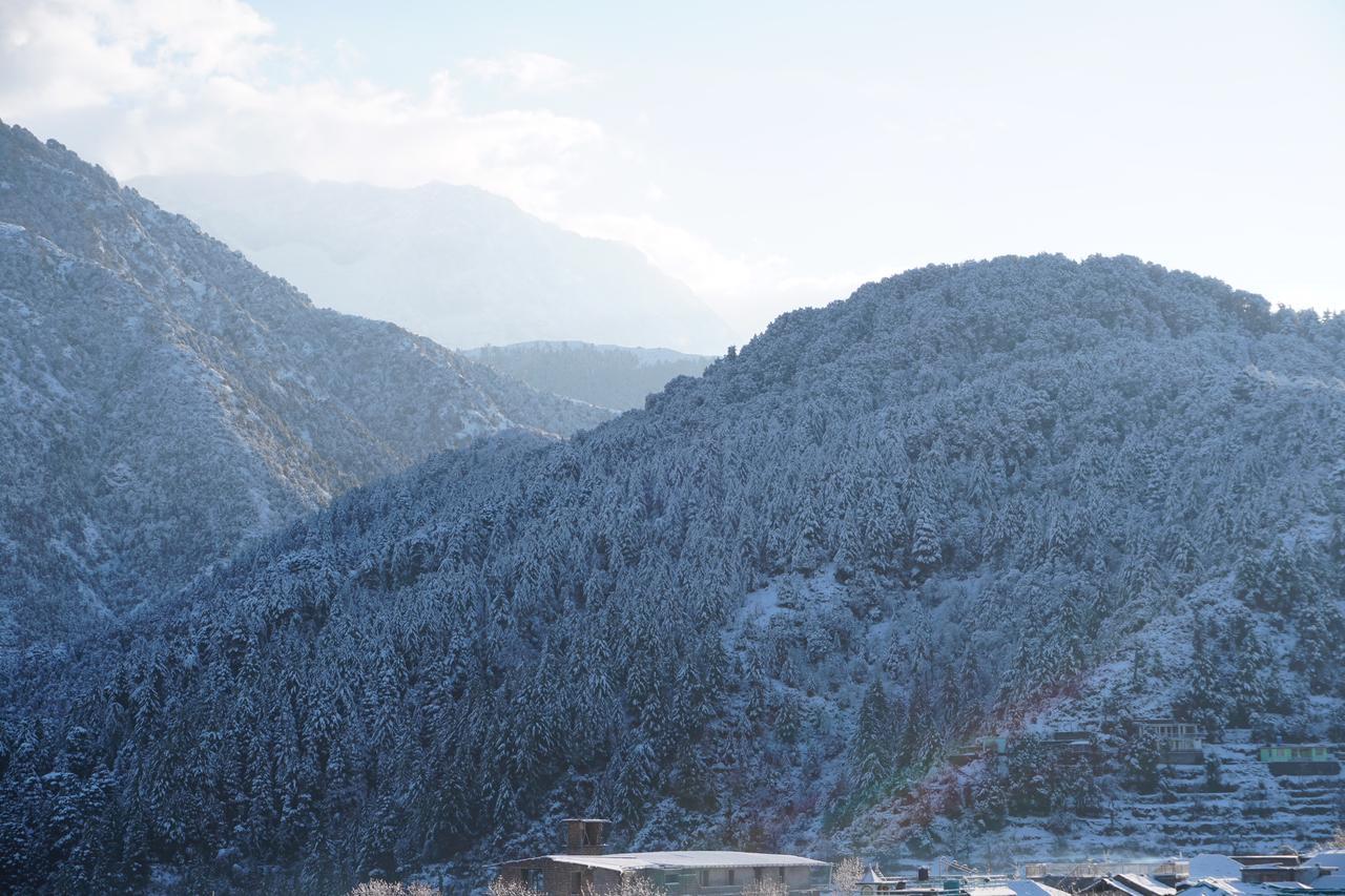Ess & Bee Resorts Dharamshala Dış mekan fotoğraf